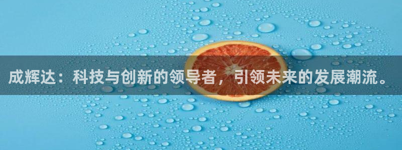 杏宇体育网页版入口：成辉达：科技与创新的领导者，引领未来的发展潮流。