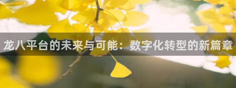 www.杏宇体育.com：龙八平台的未来与可能：数字化转型的新篇章