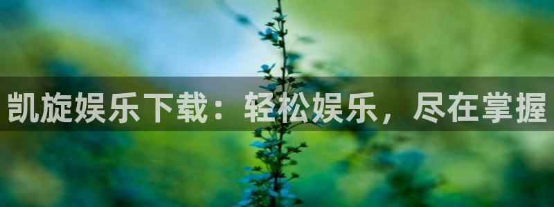 杏宇体育代理申请流程：凯旋娱乐下载：轻松娱乐，尽在掌握