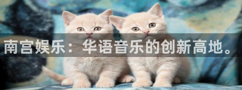 杏宇3注册：南宫娱乐：华语音乐的创新高地。