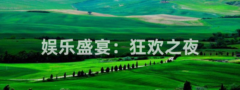 杏宇k：娱乐盛宴：狂欢之夜