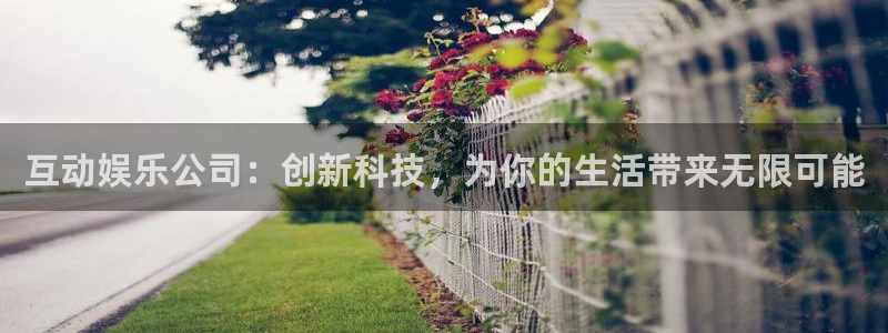 杏宇体育代理申请流程：互动娱乐公司：创新科技，为你的生活带来无限可能