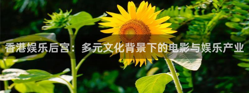 杏宇2平台：香港娱乐后宫：多元文化背景下的电影与娱乐产业