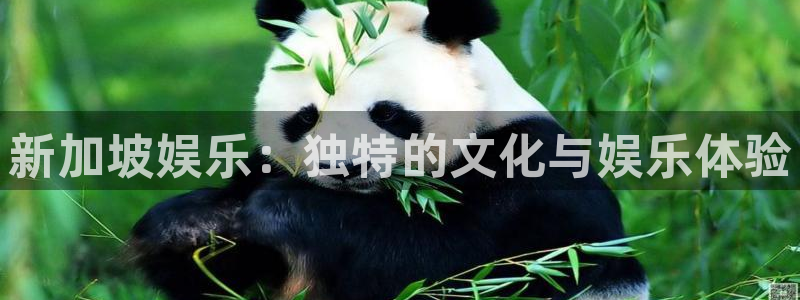 杏宇体育4：新加坡娱乐：独特的文化与娱乐体验