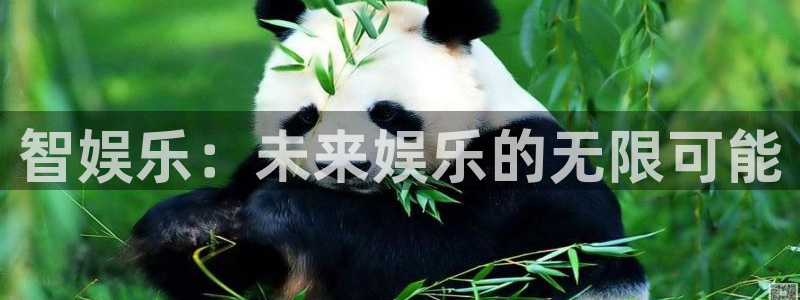 杏宇平台开户
