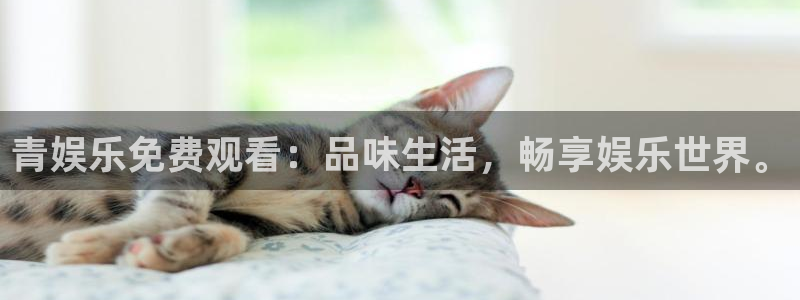 杏宇3登陆