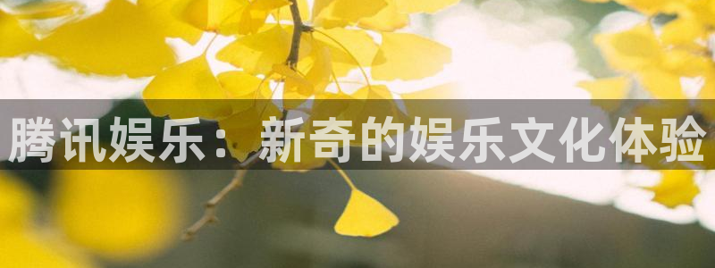 杏宇电子有限公司：腾讯娱乐：新奇的娱乐文化体验