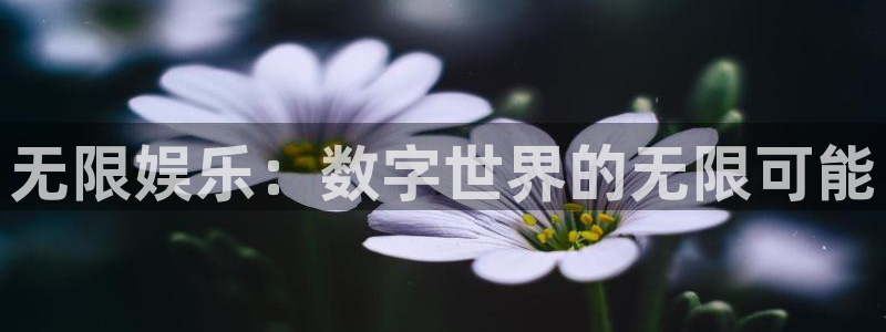 杏宇代理：无限娱乐：数字世界的无限可能