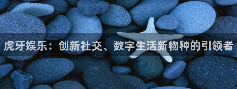 杏宇体育注册平台：虎牙娱乐：创新社交、数字生活新物种的引领者