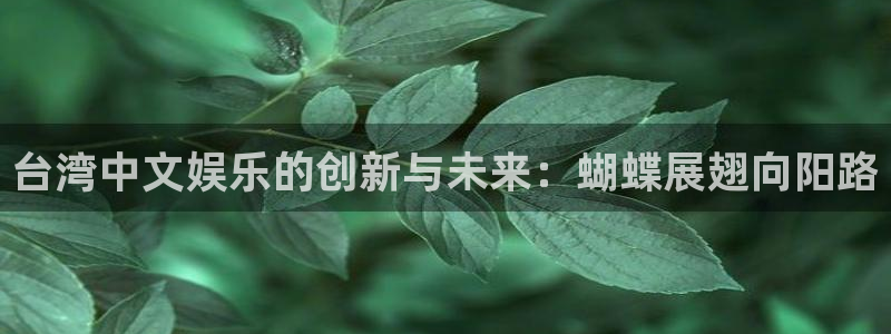 杏宇登录界面入口：台湾中文娱乐的创新与未来：蝴蝶展翅向阳路