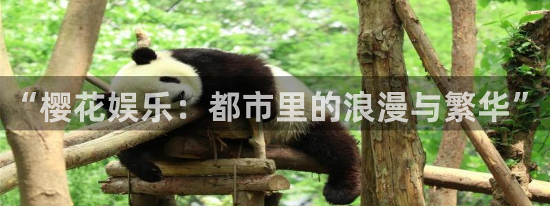 杏宇体育：“樱花娱乐：都市里的浪漫与繁华”