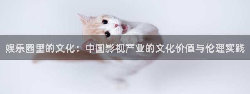 www.杏宇体育.com：娱乐圈里的文化：中国影视产业的文化价值与伦理实践