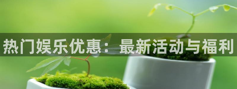 杏宇4开户