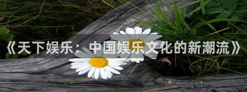 杏宇登陆：《天下娱乐：中国娱乐文化的新潮流》